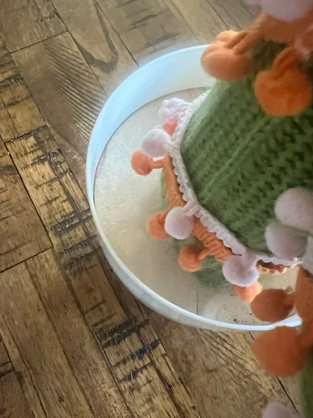 Handmade Green Knit Cactus Accent with Orange and Pink Pom-Poms